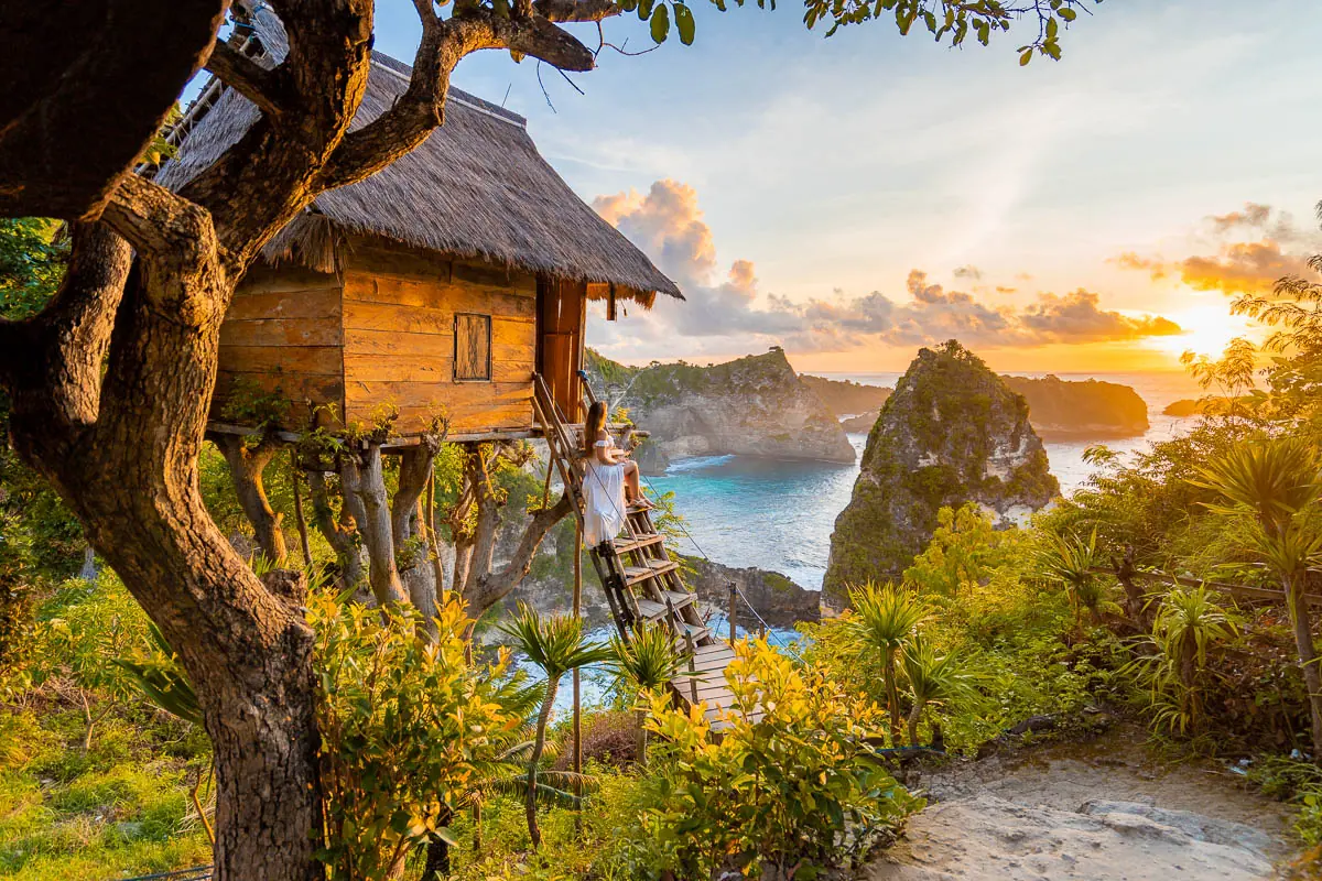 Tree House