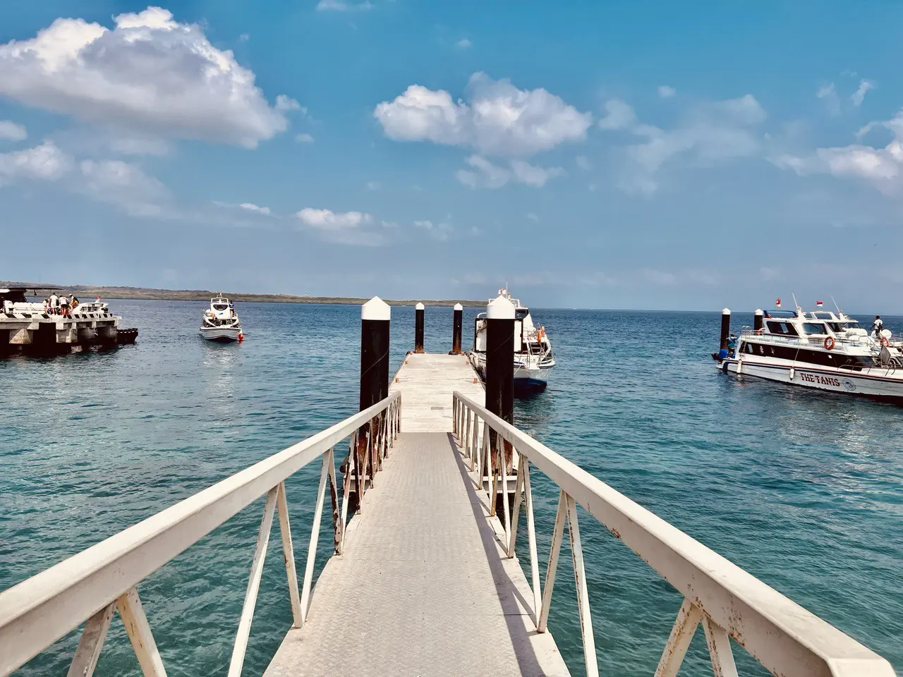 Private pick up from Banjar Nyuh Harbour