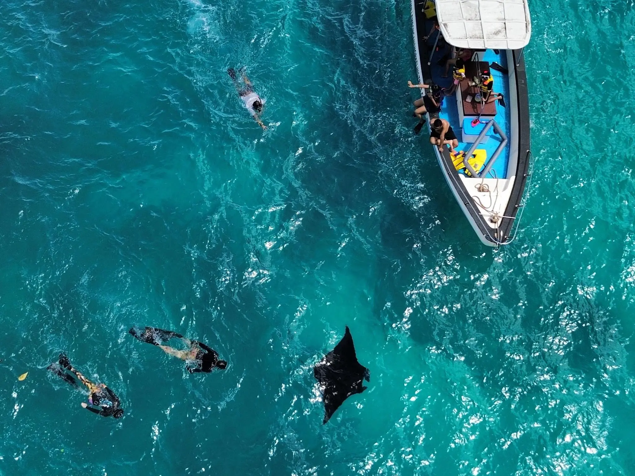 Manta Bay snorkeling with manta rays in Nusa Penida