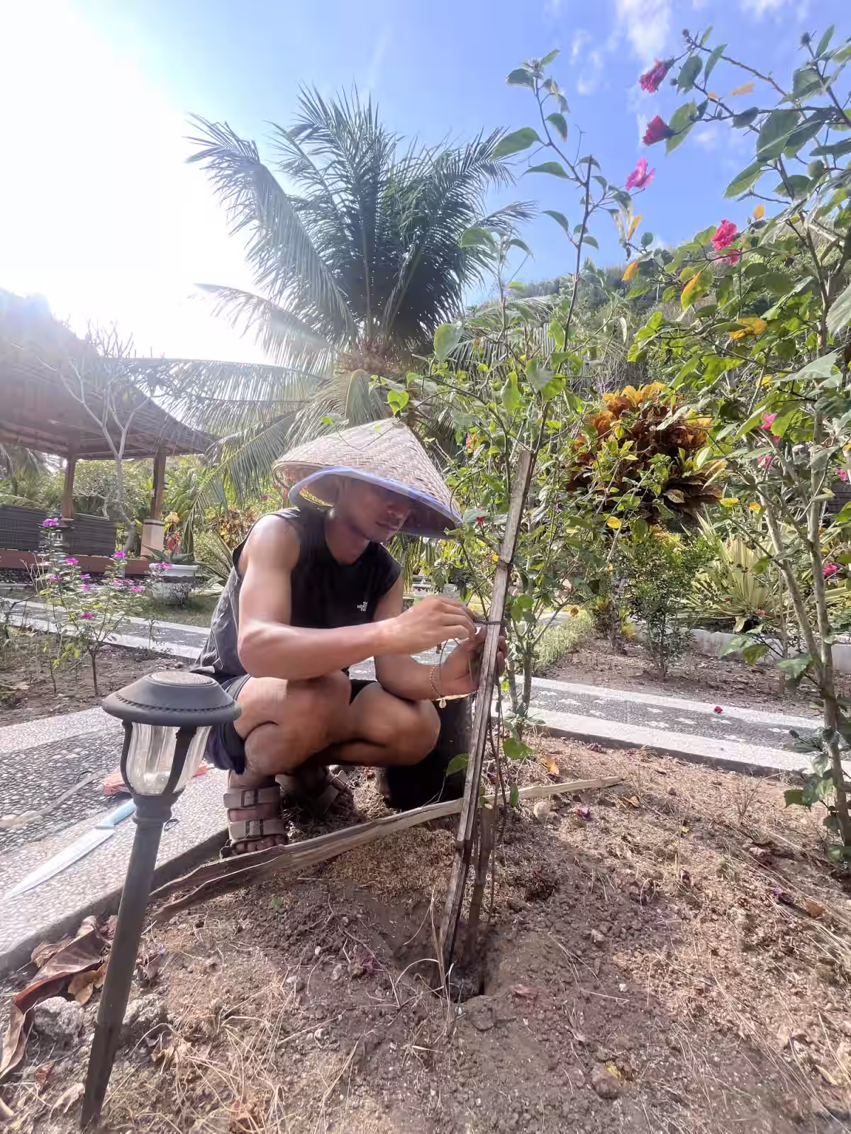 Nugraha tying a bougainvillea stem beside a garden path at Mahaloka Valley.